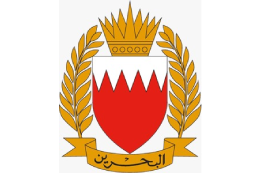 Bahrain defence force (BDF)